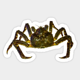 King Crab Sticker